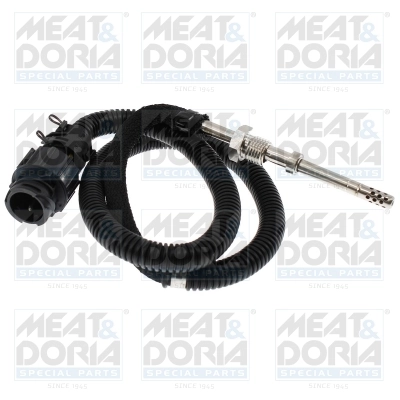 Sensor, exhaust gas temperature